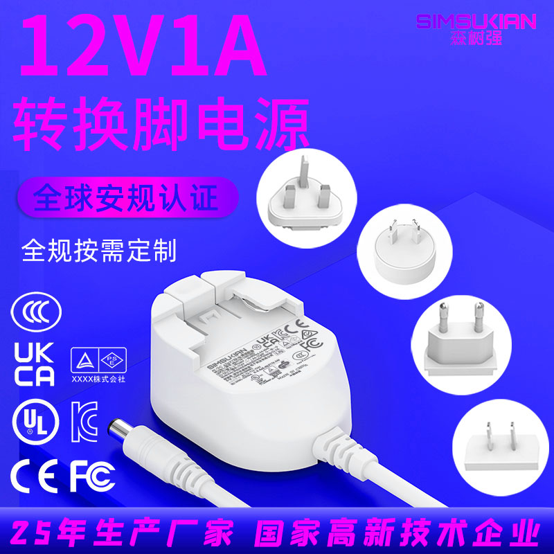12V1A转换头