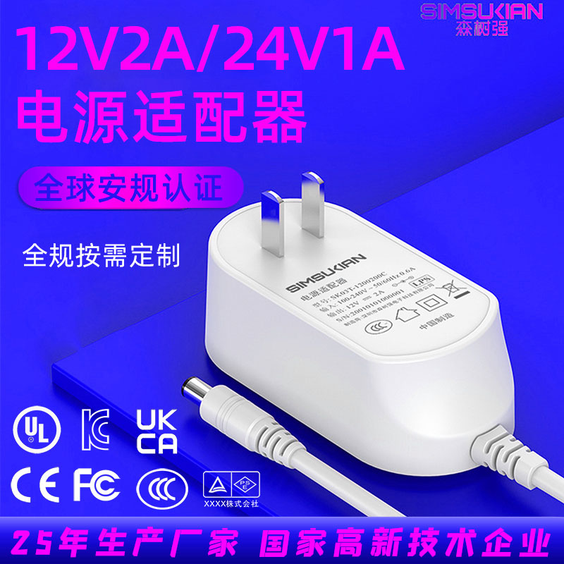 12V2A24V1A