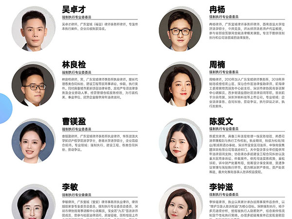 强制执行专业委员会