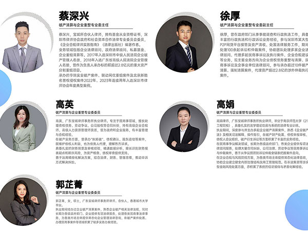破产清算与企业重整专业委员会