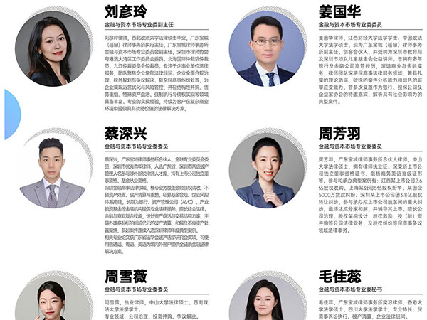 金融与资本市场专业委员会