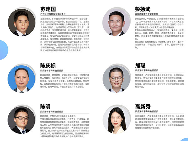 政府法律事务专业委员会