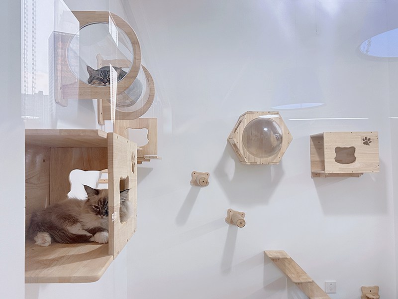 公司实景