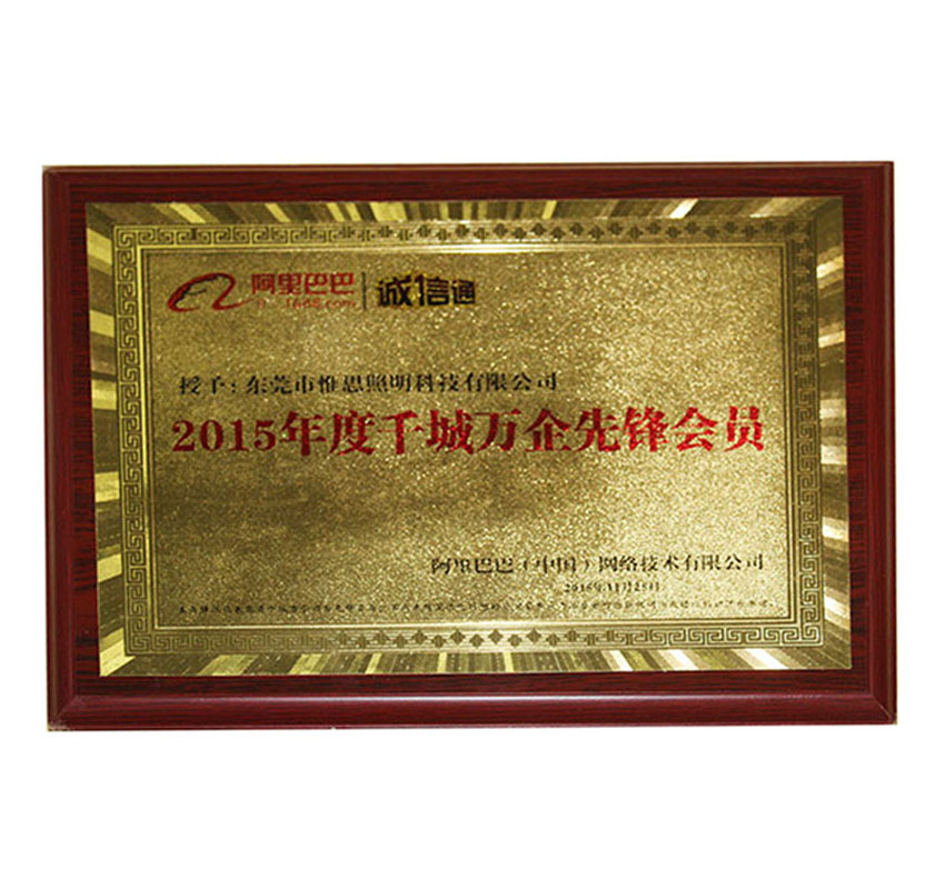 千城万企先锋会员企业