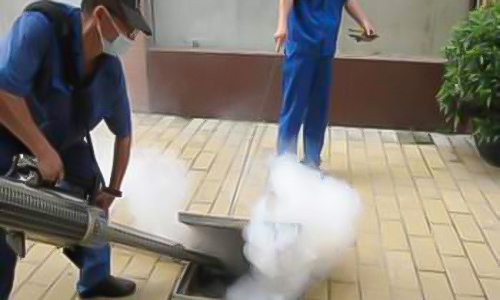 如何解决鼠类危害？