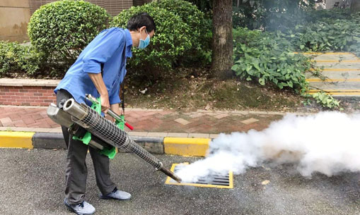 杀虫灭鼠专业防治方案