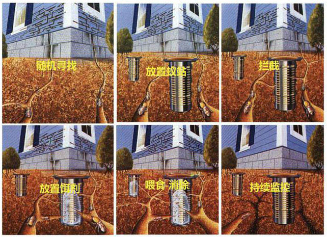 白蚁诱杀防御系统