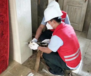 白蚁诱杀防御系统