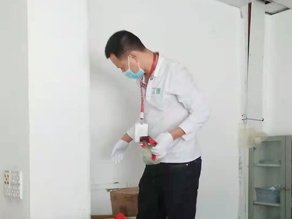 莞城草丛白蚁预防