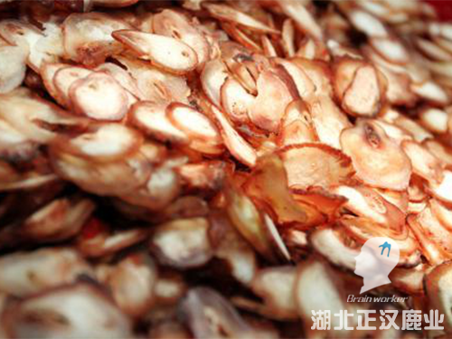 鹿鞭片