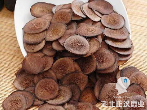 鹿茸片