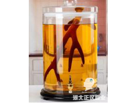 鹿茸山药酒