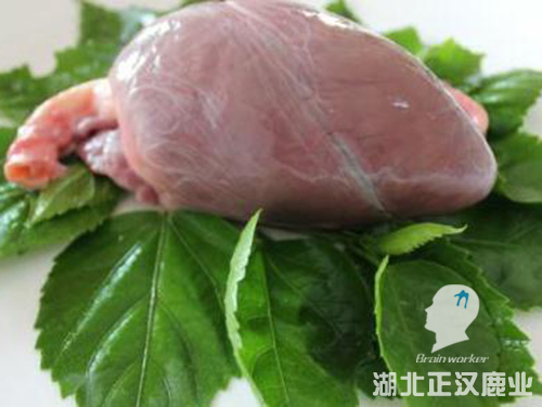鹿心