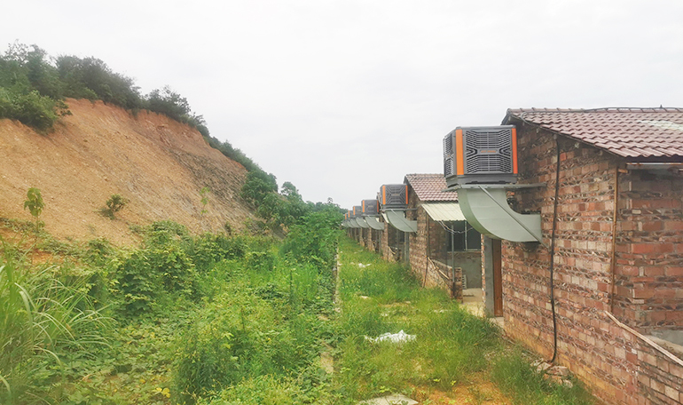 江西丰城某猪场