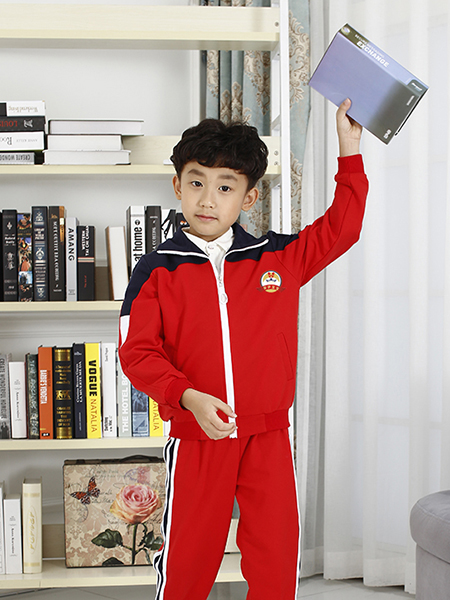中小学运动款校服