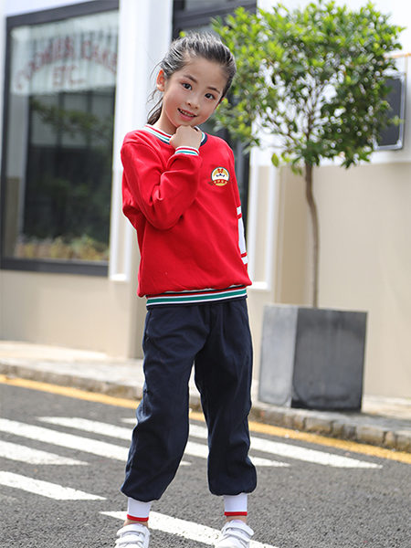 新品秋装套头衫校服